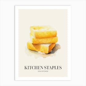 Kitchen Staples Dish Sponge 2 Art Print