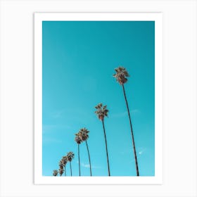 A Row of Skyduster Palm Trees Art Print