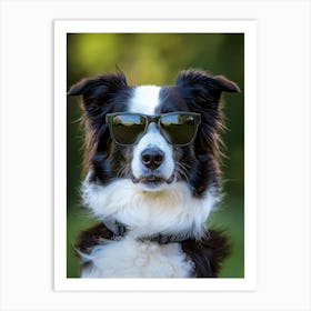 Border Collie In Sunglasses Art Print