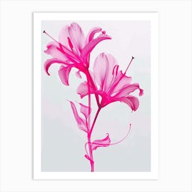 Hot Pink Lily 1 Art Print