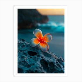 Flower Of Frangipani Art Print