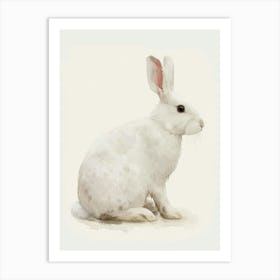 Florida White Rabbit Kids Illustration 2 Art Print