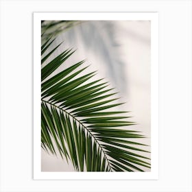 Palm Leaf Art Print