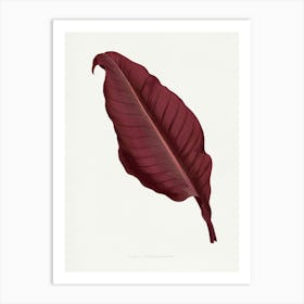 Vintage Botanical Art Print _2643242 Art Print