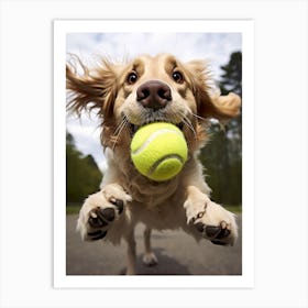 Golden Retriever With Tennis Ball Art Print