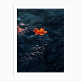 Flower In The Sand Art Print