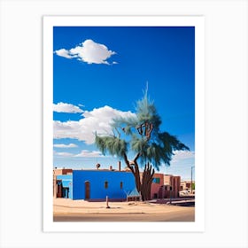 Mesquite 1  Photography Art Print