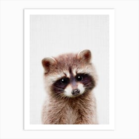 Peekaboo Raccoon Art Print