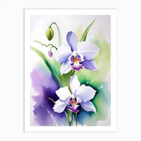 Orchids 6 Art Print