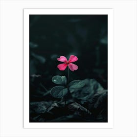 Single Flower In The Dark 16 Art Print