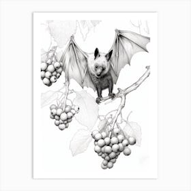 Botanical Illustration Fruit Bat 2 Art Print