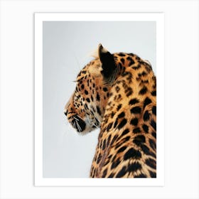 Leopard - Close Up 2 Art Print