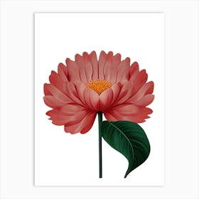Pink Chrysanthemum Flower Art Print
