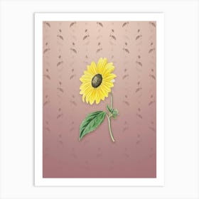 Vintage California Sunflower Botanical on Dusty Pink Pattern n.1800 Art Print