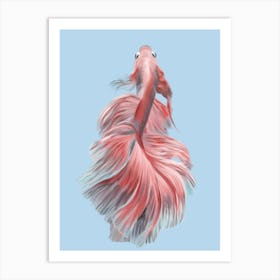 pink fish with a big tail o blue background Art Print