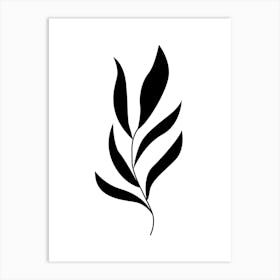 Black And White Leaf 2 Art Print