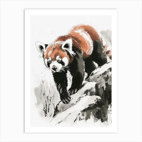 Red Panda Walking On A Mountain Ink Illustration 4 Art Print