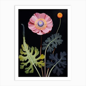 Scabiosa 4 Hilma Af Klint Inspired Flower Illustration Art Print