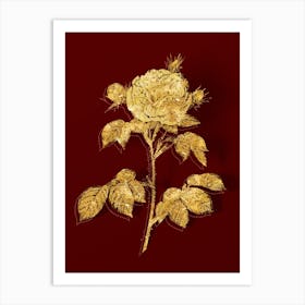 Vintage Vintage Rosa Alba Botanical in Gold on Red Art Print