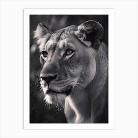 Lion Queen Art Print