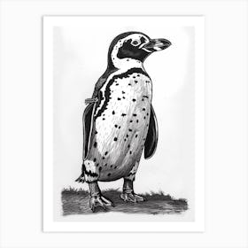 African Penguin Standing Tall And Proud 2 Art Print