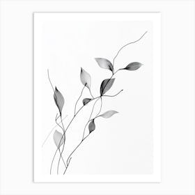 Leaf On A Branch Art Print