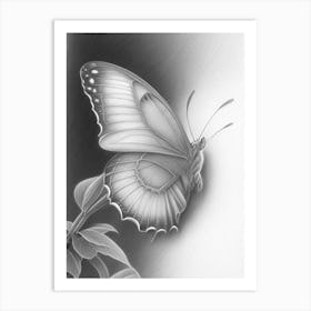 Brimstone Butterfly Greyscale Sketch 1 Art Print