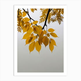 Autumn Leaves 2 Art Print