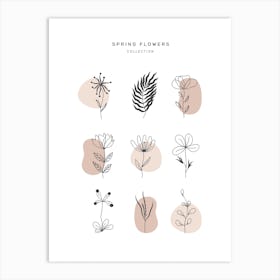 Spring Flowers Art Print