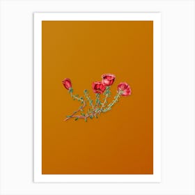 Vintage Gillies Purslane Flower Branch Botanical on Sunset Orange Art Print