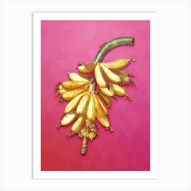Vintage Banana Botanical Art on Beetroot Purple n.0937 Art Print