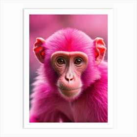 Pink Monkey 0 Art Print
