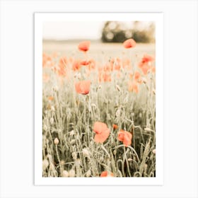 Poppy Flower Art Print