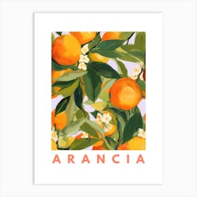 Orange Fruit Print 5 Art Print