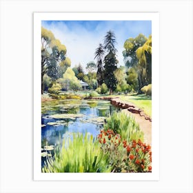 Adelaise Botanical Gardens Australia Watercolour 3 Art Print