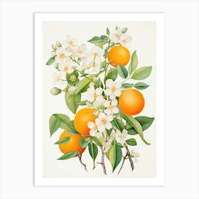 Orange Blossoms 2 Art Print