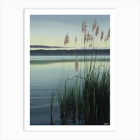 Reeds By The Lake Art Print