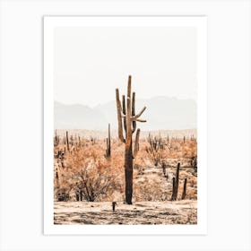 Cactus In Burnt Desert Art Print