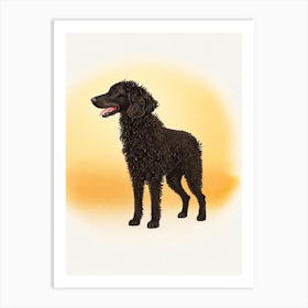 Curly Coated Retriever Illustration Dog Art Print