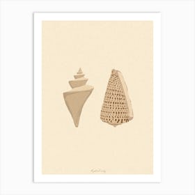 Couple Of Seashells Art Print