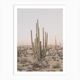 Huge Desert Cactus Art Print