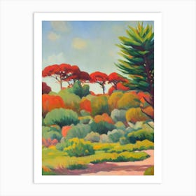 Monkey Puzzle Tree Tree Watercolour Art Print