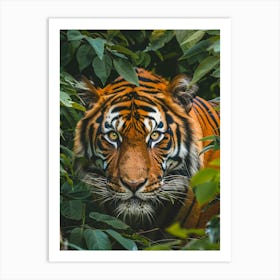 Tiger In The Jungle 3 Art Print