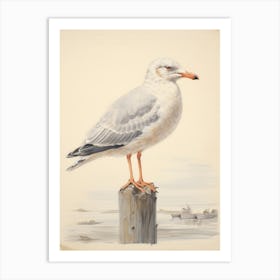 Vintage Bird Drawing Seagull 1 Art Print