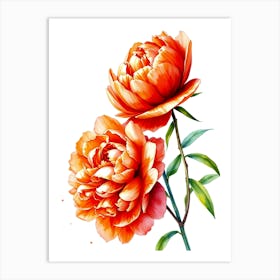 Watercolor Peonies 1 Art Print