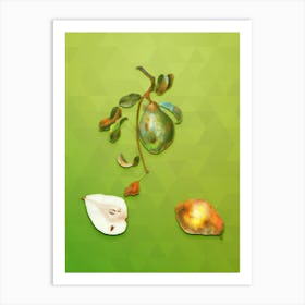 Vintage Pear Botanical Art on Love Bird Green n.1508 Art Print