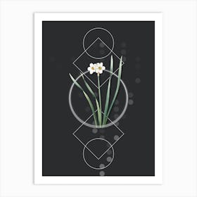 Vintage Primrose Peerless Botanical with Geometric Line Motif and Dot Pattern n.0303 Art Print