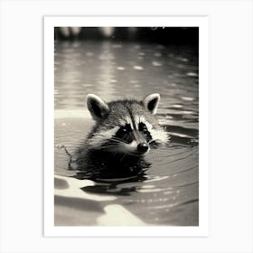 Swimming Raccoon Vintage Photography 2 Art Print