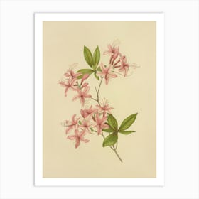 Lily Of The Valley 4 Art Print