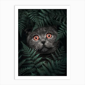 British Shorthair Cat Art Print